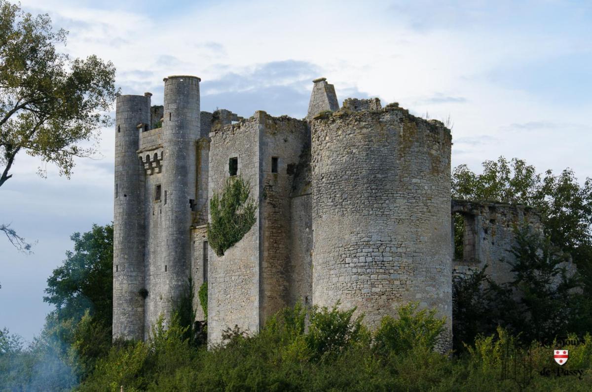 Le Domaine Du Chateau Varennes-les-Narcy Bagian luar foto